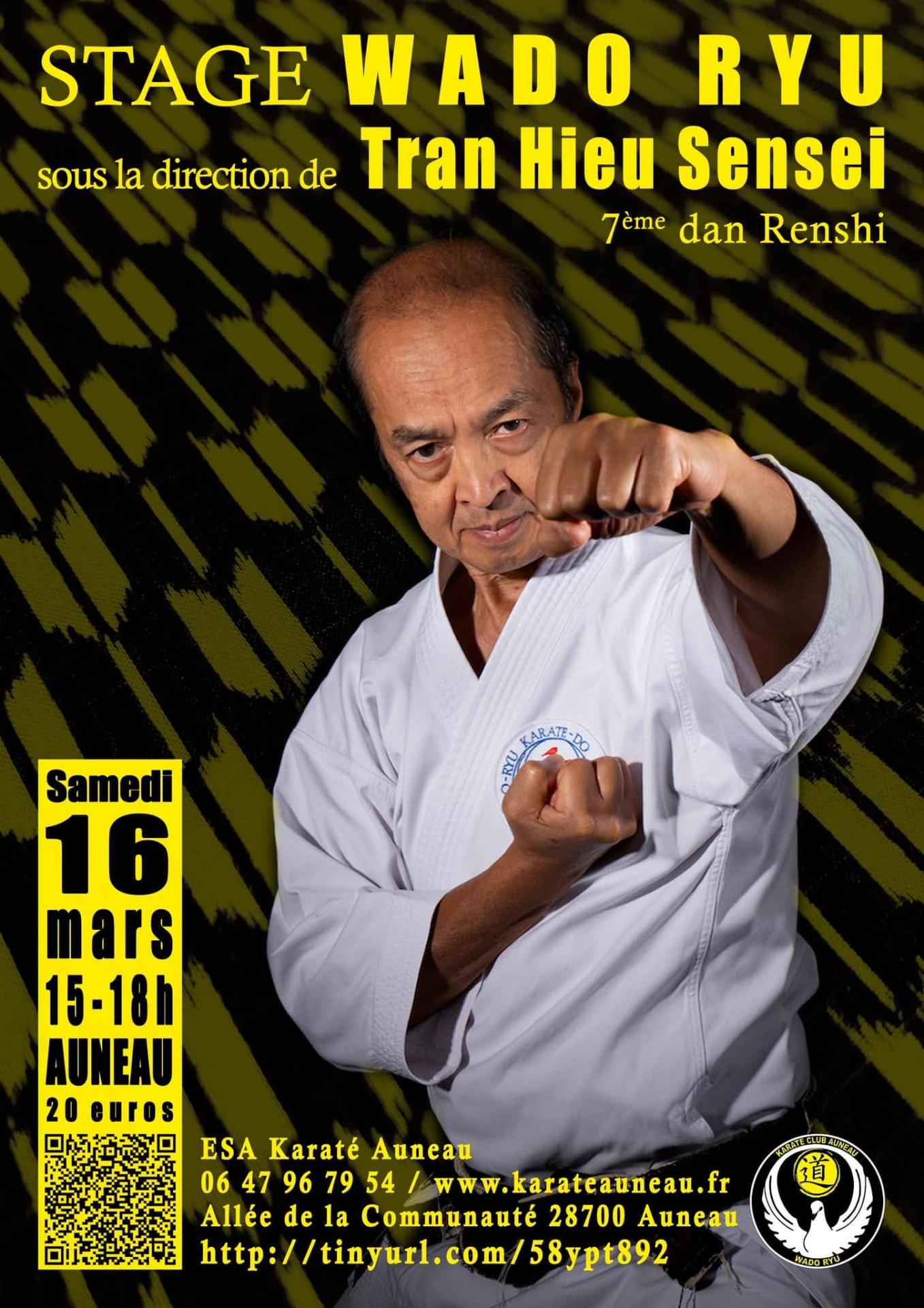 Stage Wado-Ryu avec Tran Hieu Sensei — 16 mars 2024