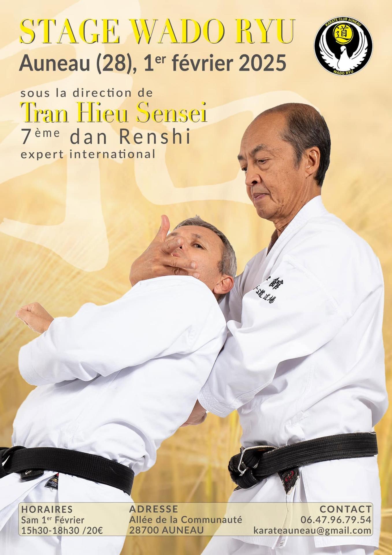 Stage Wado-Ryu avec Tran Hieu Sensei — 1er février 2025