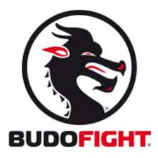 Budo Fight
